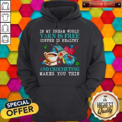 Awesome In My Dream World Yarn Is Free Coffee Is Healthy Hoodie