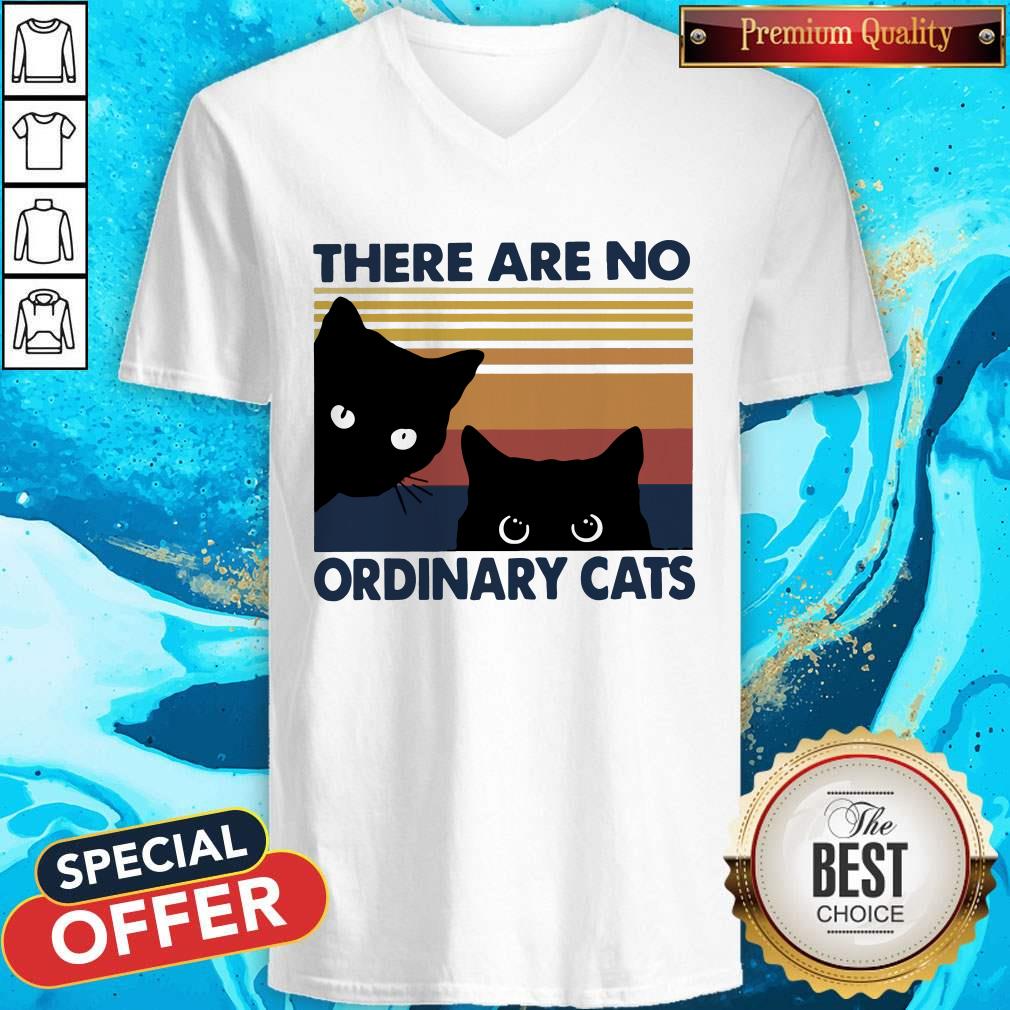 Black Cats There Are No Ordinary Cats Vintage V- neck 