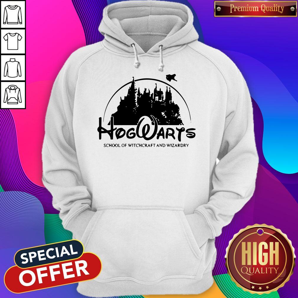 Cute Disney Land Hogwarts School Of Witchcraft And Wizardry Hoodie