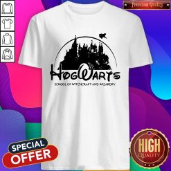 Cute Disney Land Hogwarts School Of Witchcraft And Wizardry Shirt