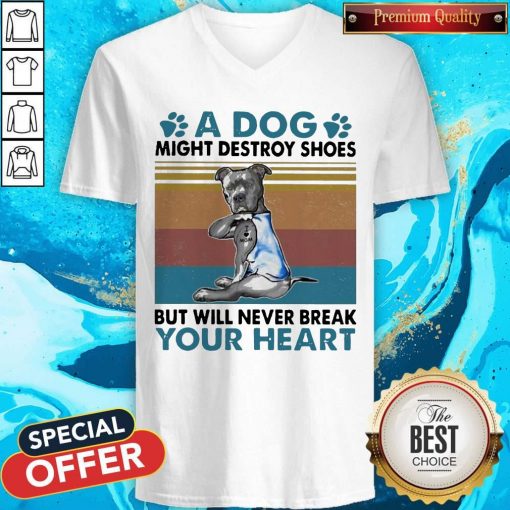 Pit Bull A Dog Might Destroy Shoes But Will Never Break Your Heart Vintage V-neck