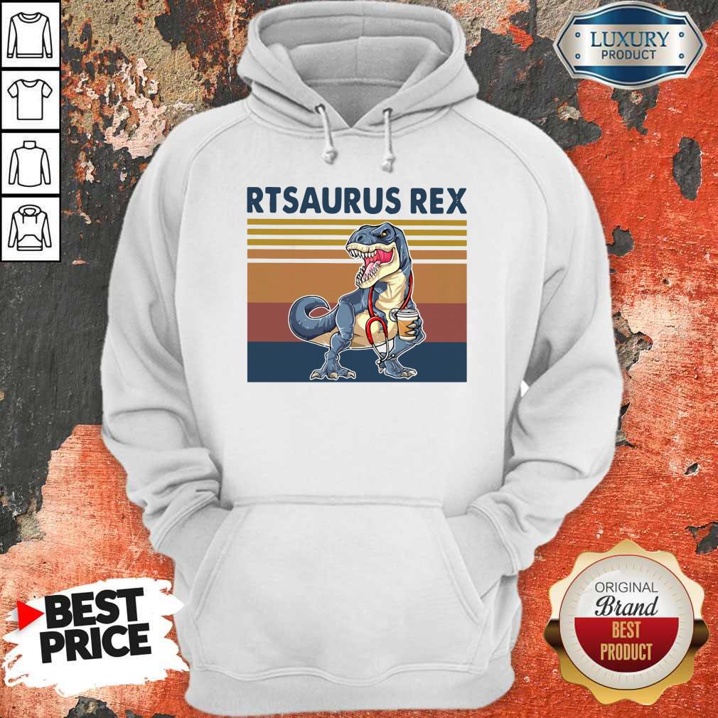 Respiratory Therapist Rtsaurus Rex Vintage Hoodie