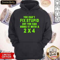 You Can't Fix Stupid But You Can Numb It With A 2 X 4 Hoodie