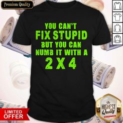 You Can't Fix Stupid But You Can Numb It With A 2 X 4 Shirt