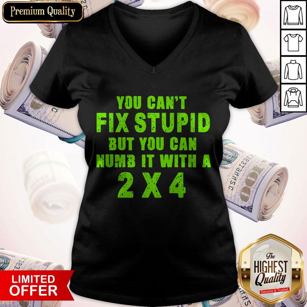 You Can't Fix Stupid But You Can Numb It With A 2 X 4 V-neck