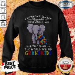 Elephants Autism I Wouldn’t Change My Grandkids For The World But I Wish I Could Change The World For My Grandkids Sweatshirt