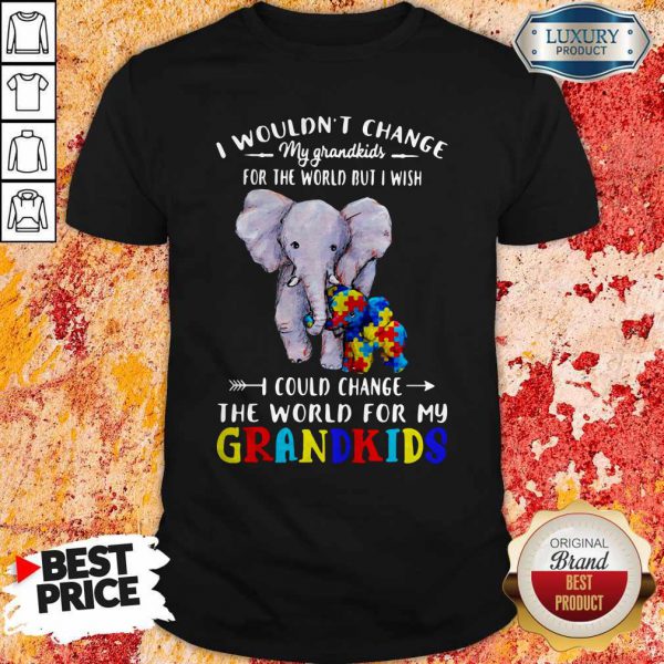 Elephants Autism I Wouldn’t Change My Grandkids For The World But I Wish I Could Change The World For My Grandkids Shirt