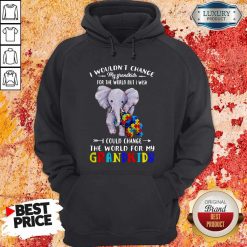 Elephants Autism I Wouldn’t Change My Grandkids For The World But I Wish I Could Change The World For My Grandkids Hoodie