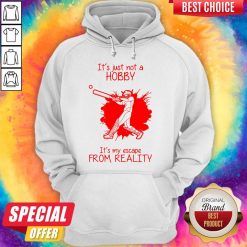 Men Playing Baseball It’s Just Not A Hobby It’s My Escape From Reality Hoodie