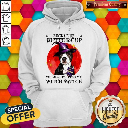 Pitbull Buckle Up Buttercup You Just Flipper My Witch Switch Sunset Hoodie