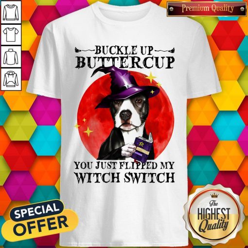Pitbull Buckle Up Buttercup You Just Flipper My Witch Switch Sunset Shirt