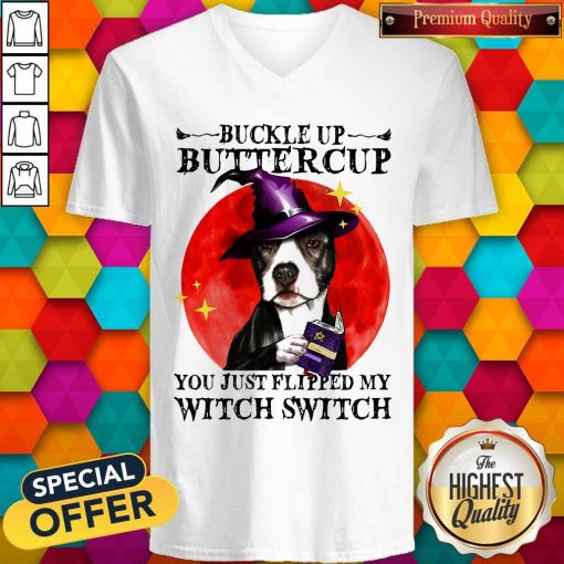 Pitbull Buckle Up Buttercup You Just Flipper My Witch Switch Sunset V-neck