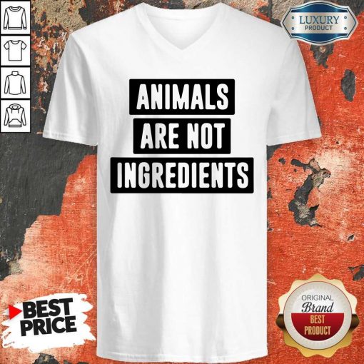 Animals Are Not Ingredients V-neck