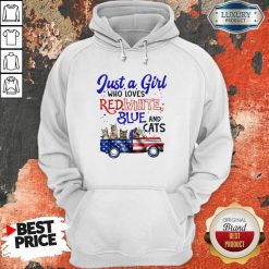 Just A Girl Who Loves Red White Blue And Cats American Flag Hoodie