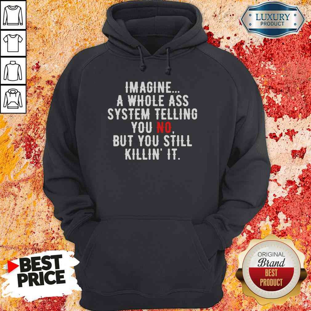 Perfect Imagine A Whole Ass System Telling You No But You Still Hoodie-Design By Soyatees.com