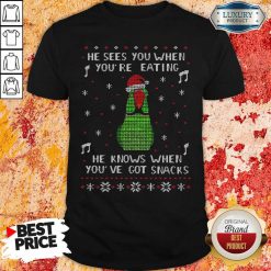 Bird Santa Hat He Sees You When You’Re Eating He Knows When You’Ve Got Snacks Christmas Shirt-Design By Soyatees.com