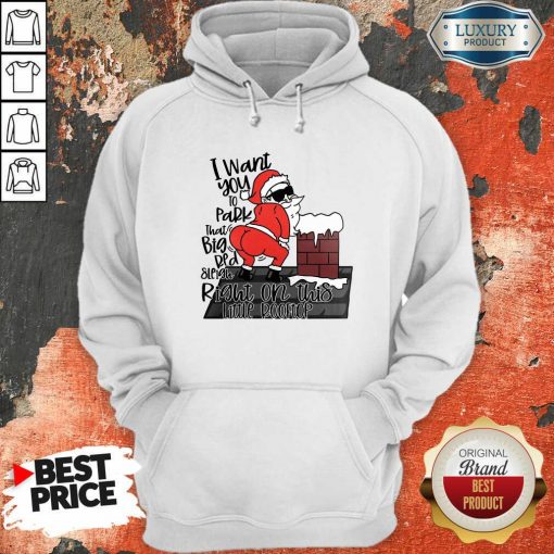 Santa Claus I Want You To Park That Big Red And Light Right On This Rooftop Christmas Hoodie-Design By Soyatees.com