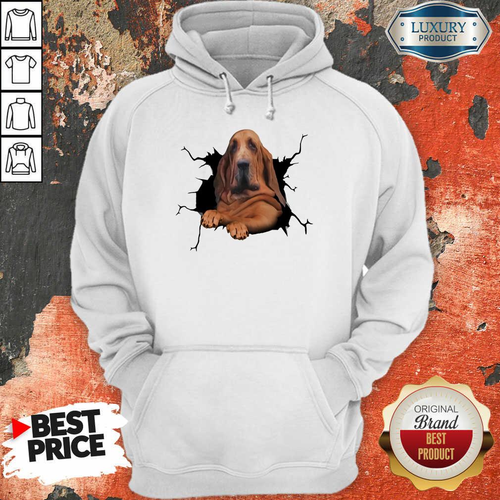 Hot I Love Bloodhound Hoodie