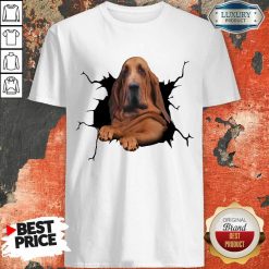 Hot I Love Bloodhound Shirt