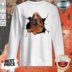 Hot I Love Bloodhound Sweatshirt