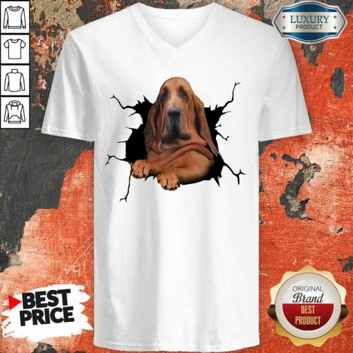 Hot I Love Bloodhound V-neck