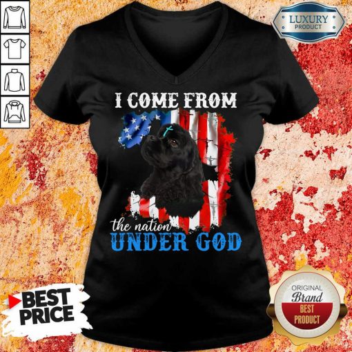 Top Cocker Spaniel American The Nation Under God V-neck