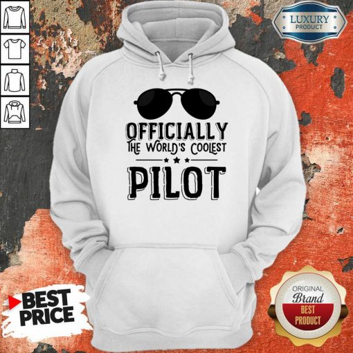Officially The World's Coolest Pilot Glasses Hoodie