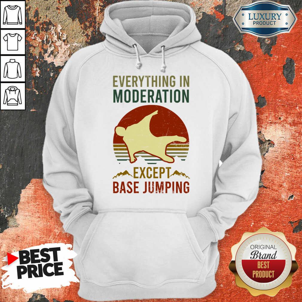 Everything In Moderation Except Base Jumping Vintage Everything In Moderation Except Base Jumping Vintage Hoodie