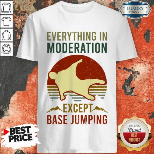 Everything In Moderation Except Base Jumping Vintage Shirt